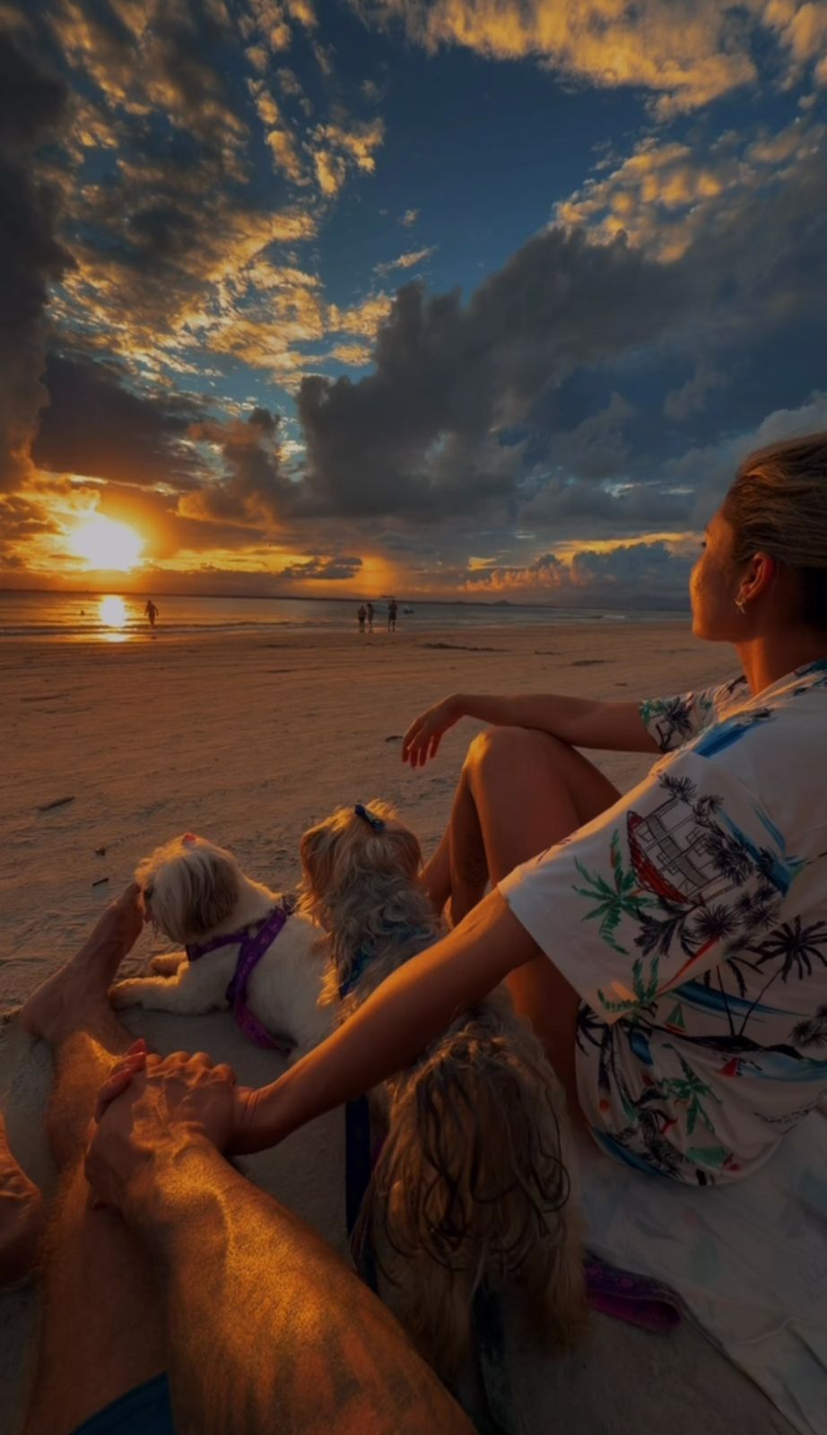 Entardecer com os Filhos de Quatro Patas